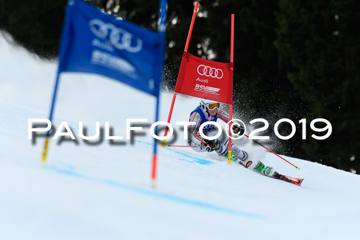 FIS Riesenslalom, ATA; Bay. Meisterschaft, Damen + Herren, 24.01.2020