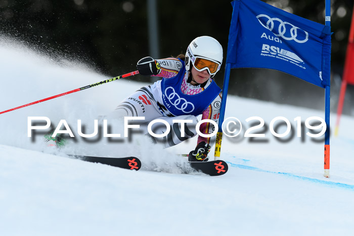 FIS Riesenslalom, ATA; Bay. Meisterschaft, Damen + Herren, 24.01.2020