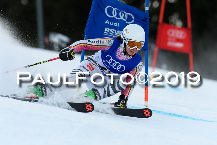 FIS Riesenslalom, ATA; Bay. Meisterschaft, Damen + Herren, 24.01.2020