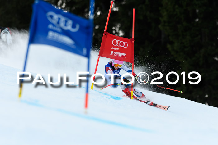 FIS Riesenslalom, ATA; Bay. Meisterschaft, Damen + Herren, 24.01.2020