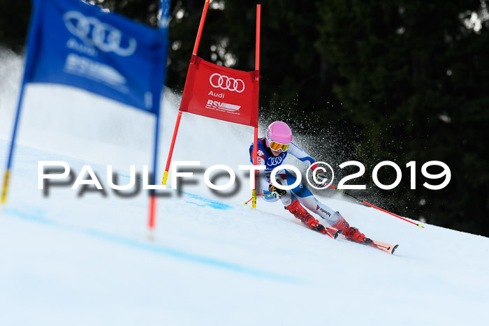 FIS Riesenslalom, ATA; Bay. Meisterschaft, Damen + Herren, 24.01.2020