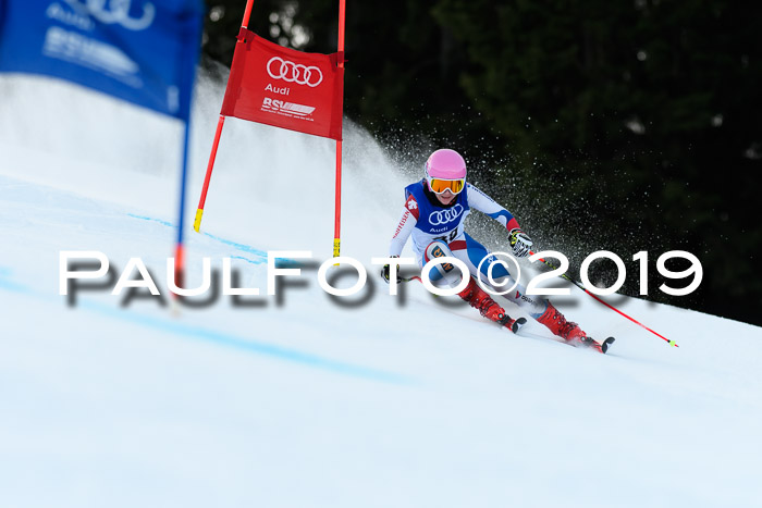 FIS Riesenslalom, ATA; Bay. Meisterschaft, Damen + Herren, 24.01.2020