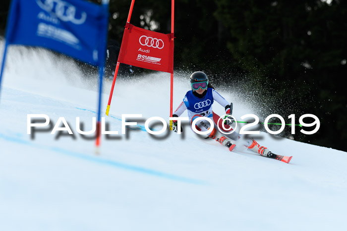 FIS Riesenslalom, ATA; Bay. Meisterschaft, Damen + Herren, 24.01.2020