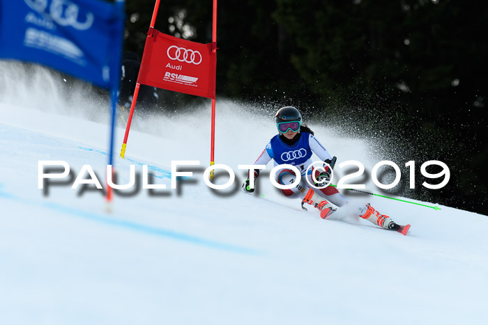 FIS Riesenslalom, ATA; Bay. Meisterschaft, Damen + Herren, 24.01.2020