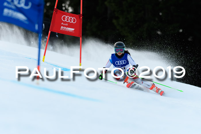 FIS Riesenslalom, ATA; Bay. Meisterschaft, Damen + Herren, 24.01.2020