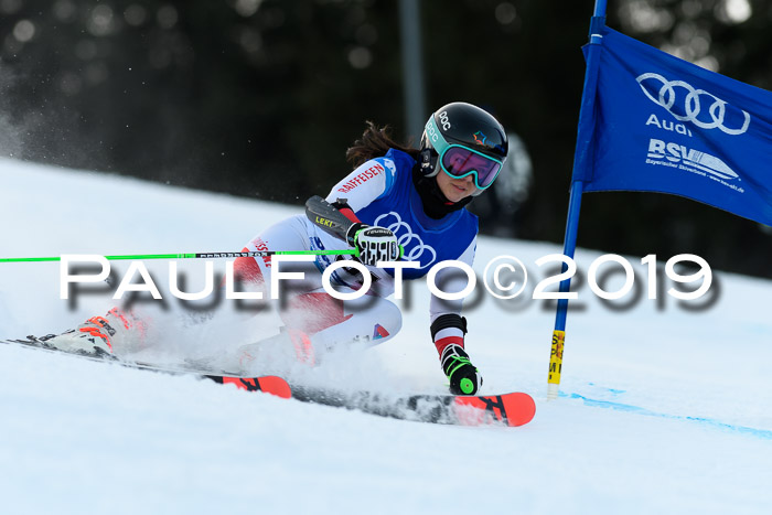 FIS Riesenslalom, ATA; Bay. Meisterschaft, Damen + Herren, 24.01.2020