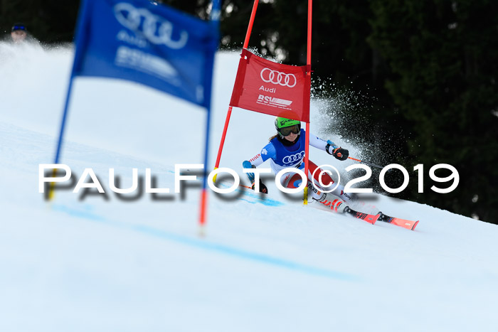 FIS Riesenslalom, ATA; Bay. Meisterschaft, Damen + Herren, 24.01.2020