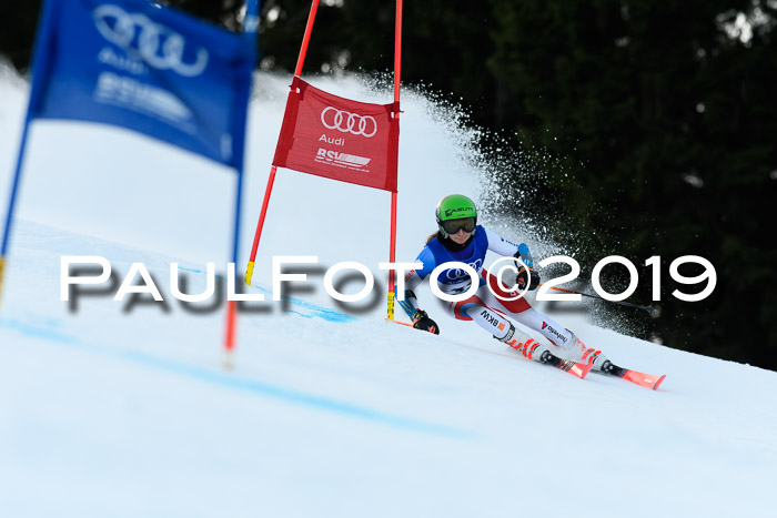 FIS Riesenslalom, ATA; Bay. Meisterschaft, Damen + Herren, 24.01.2020