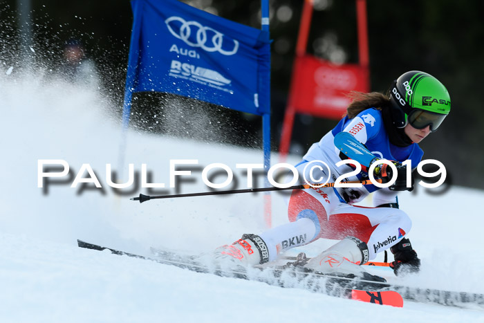 FIS Riesenslalom, ATA; Bay. Meisterschaft, Damen + Herren, 24.01.2020