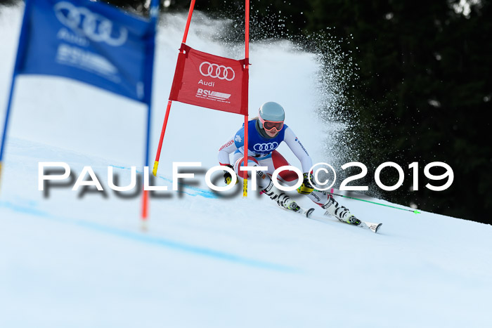 FIS Riesenslalom, ATA; Bay. Meisterschaft, Damen + Herren, 24.01.2020