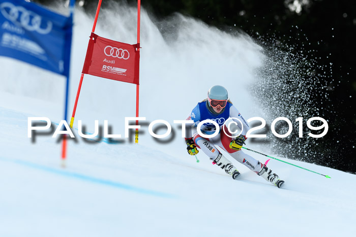 FIS Riesenslalom, ATA; Bay. Meisterschaft, Damen + Herren, 24.01.2020