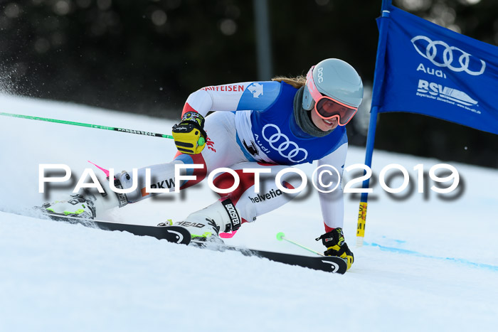 FIS Riesenslalom, ATA; Bay. Meisterschaft, Damen + Herren, 24.01.2020