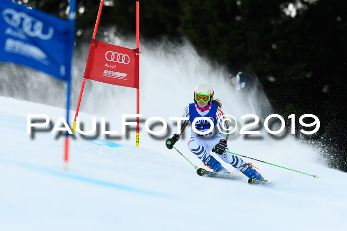 FIS Riesenslalom, ATA; Bay. Meisterschaft, Damen + Herren, 24.01.2020