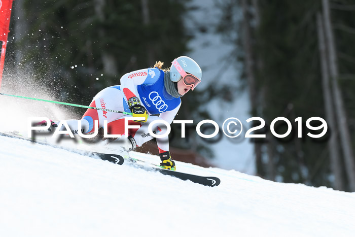 FIS Riesenslalom, ATA; Bay. Meisterschaft, Damen + Herren, 24.01.2020