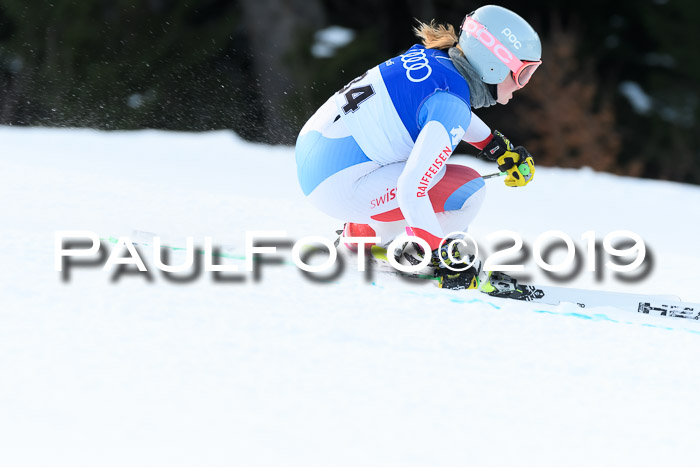 FIS Riesenslalom, ATA; Bay. Meisterschaft, Damen + Herren, 24.01.2020
