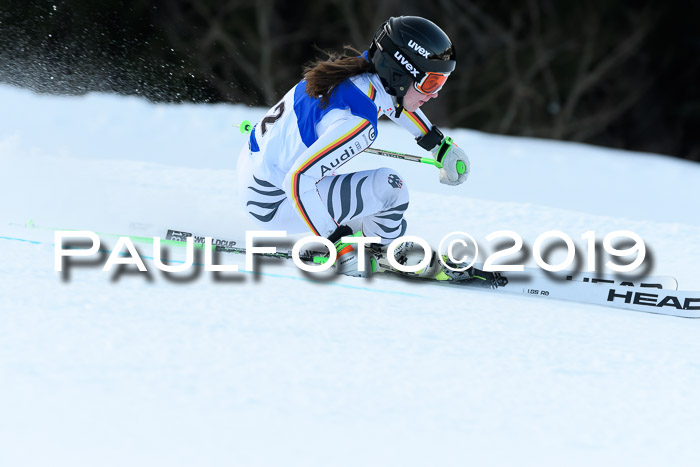 FIS Riesenslalom, ATA; Bay. Meisterschaft, Damen + Herren, 24.01.2020