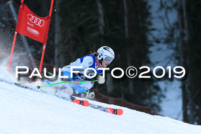 FIS Riesenslalom, ATA; Bay. Meisterschaft, Damen + Herren, 24.01.2020