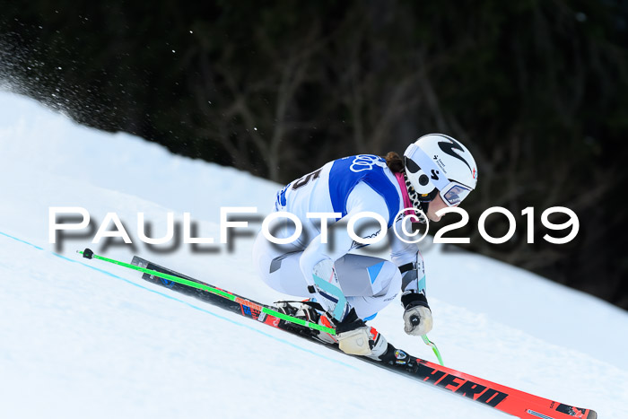 FIS Riesenslalom, ATA; Bay. Meisterschaft, Damen + Herren, 24.01.2020