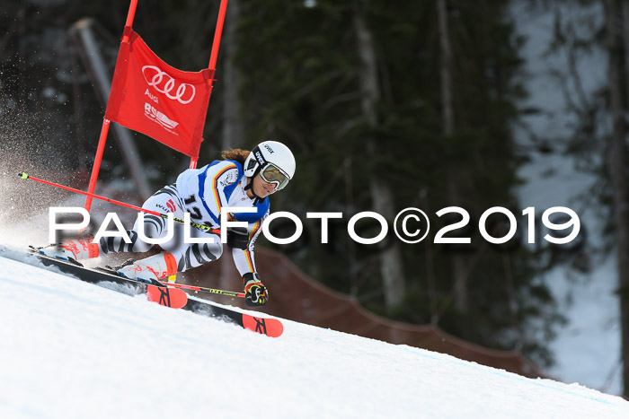 FIS Riesenslalom, ATA; Bay. Meisterschaft, Damen + Herren, 24.01.2020