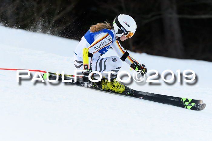 FIS Riesenslalom, ATA; Bay. Meisterschaft, Damen + Herren, 24.01.2020