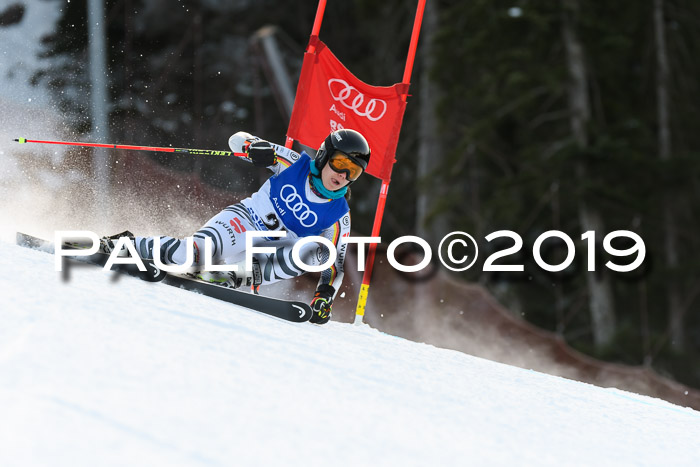 FIS Riesenslalom, ATA; Bay. Meisterschaft, Damen + Herren, 24.01.2020