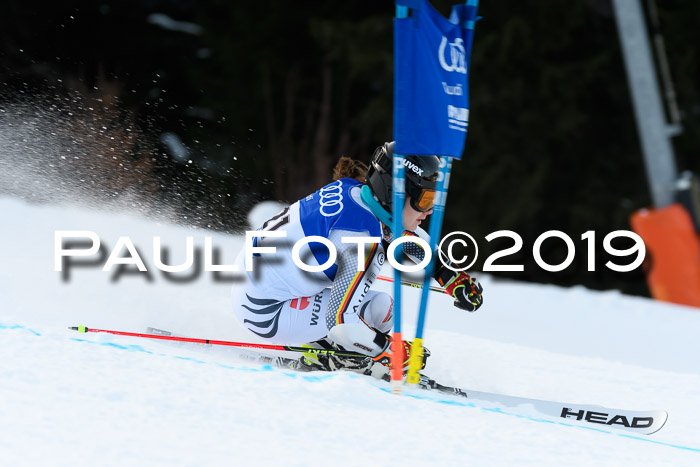 FIS Riesenslalom, ATA; Bay. Meisterschaft, Damen + Herren, 24.01.2020