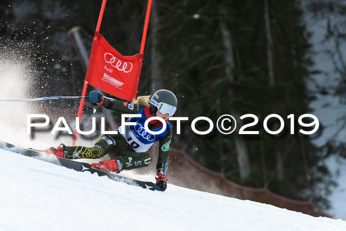 FIS Riesenslalom, ATA; Bay. Meisterschaft, Damen + Herren, 24.01.2020