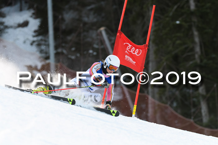 FIS Riesenslalom, ATA; Bay. Meisterschaft, Damen + Herren, 24.01.2020