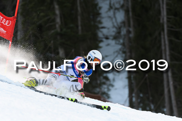 FIS Riesenslalom, ATA; Bay. Meisterschaft, Damen + Herren, 24.01.2020