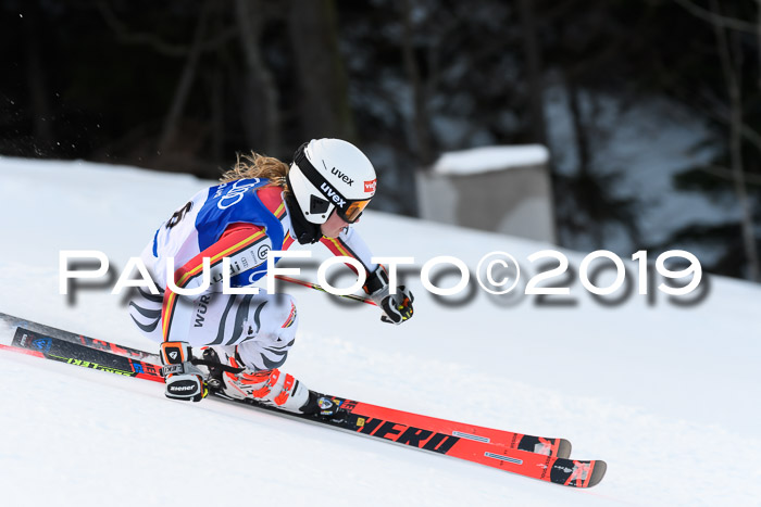 FIS Riesenslalom, ATA; Bay. Meisterschaft, Damen + Herren, 24.01.2020