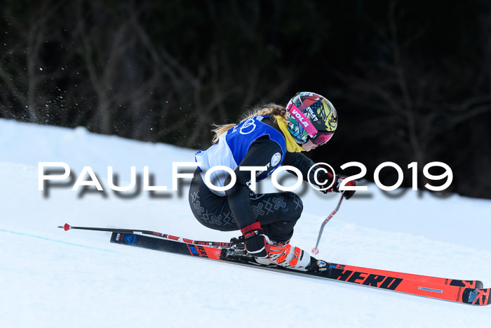 FIS Riesenslalom, ATA; Bay. Meisterschaft, Damen + Herren, 24.01.2020