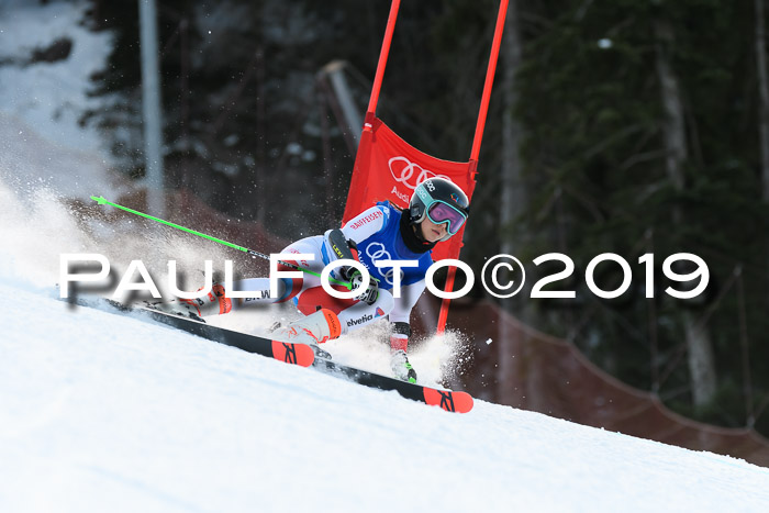 FIS Riesenslalom, ATA; Bay. Meisterschaft, Damen + Herren, 24.01.2020