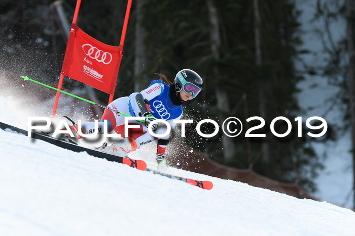 FIS Riesenslalom, ATA; Bay. Meisterschaft, Damen + Herren, 24.01.2020