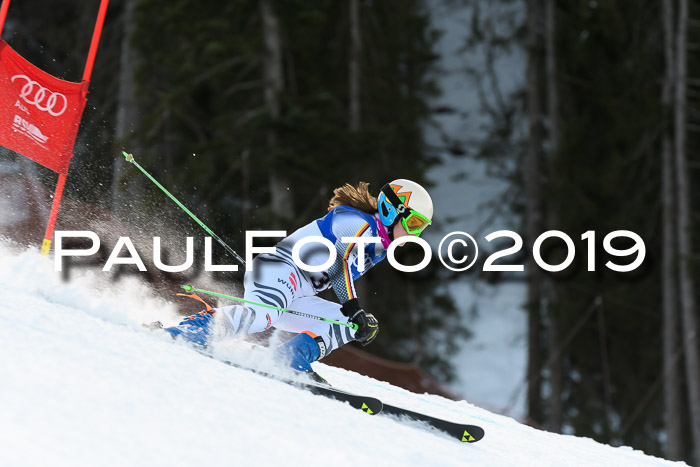 FIS Riesenslalom, ATA; Bay. Meisterschaft, Damen + Herren, 24.01.2020