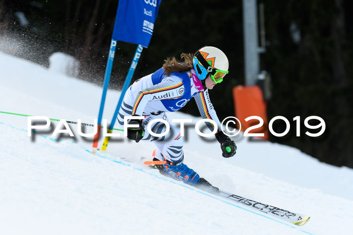 FIS Riesenslalom, ATA; Bay. Meisterschaft, Damen + Herren, 24.01.2020
