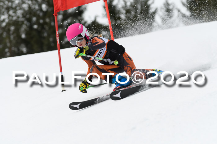 Ziener Cup WF u. U12 Kids Cross RSX 25.01.2020