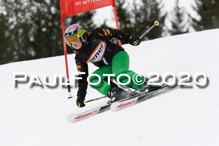 Ziener Cup WF u. U12 Kids Cross RSX 25.01.2020