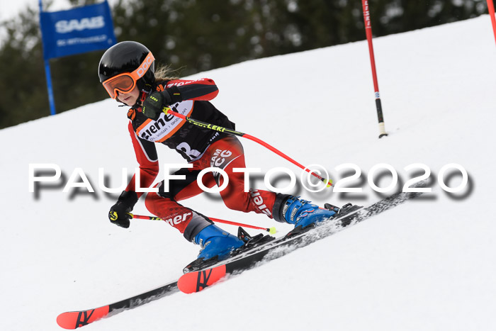 Ziener Cup WF u. U12 Kids Cross RSX 25.01.2020