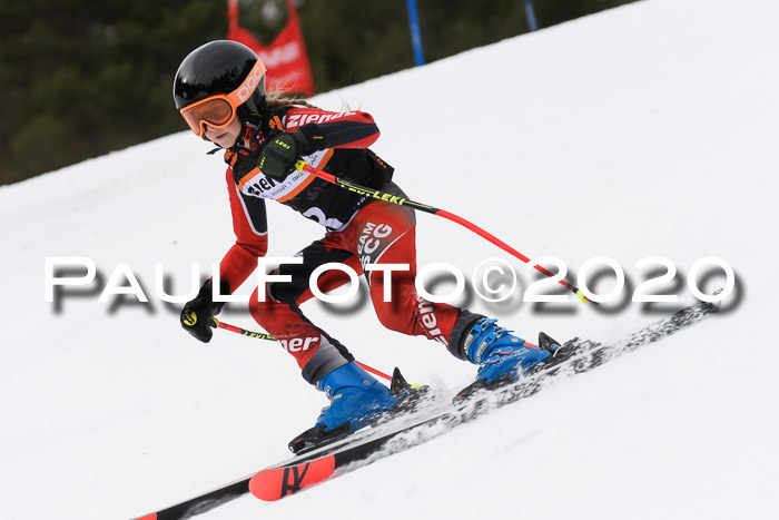 Ziener Cup WF u. U12 Kids Cross RSX 25.01.2020