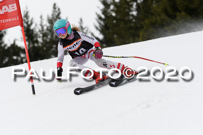 Ziener Cup WF u. U12 Kids Cross RSX 25.01.2020