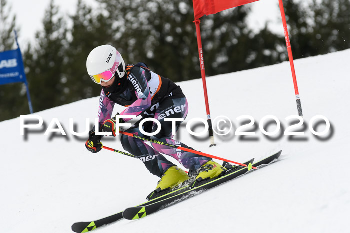 Ziener Cup WF u. U12 Kids Cross RSX 25.01.2020