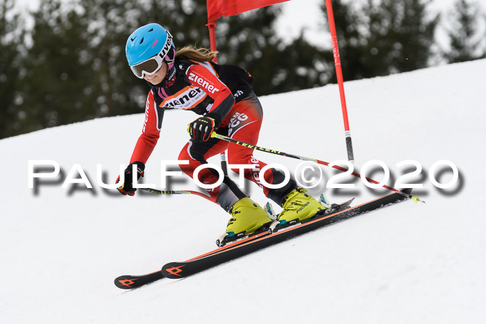 Ziener Cup WF u. U12 Kids Cross RSX 25.01.2020