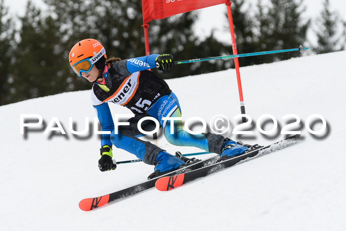 Ziener Cup WF u. U12 Kids Cross RSX 25.01.2020