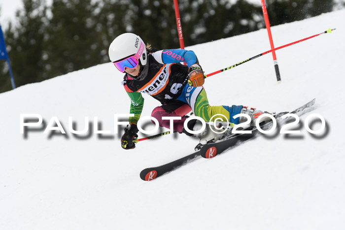 Ziener Cup WF u. U12 Kids Cross RSX 25.01.2020