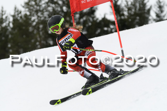 Ziener Cup WF u. U12 Kids Cross RSX 25.01.2020