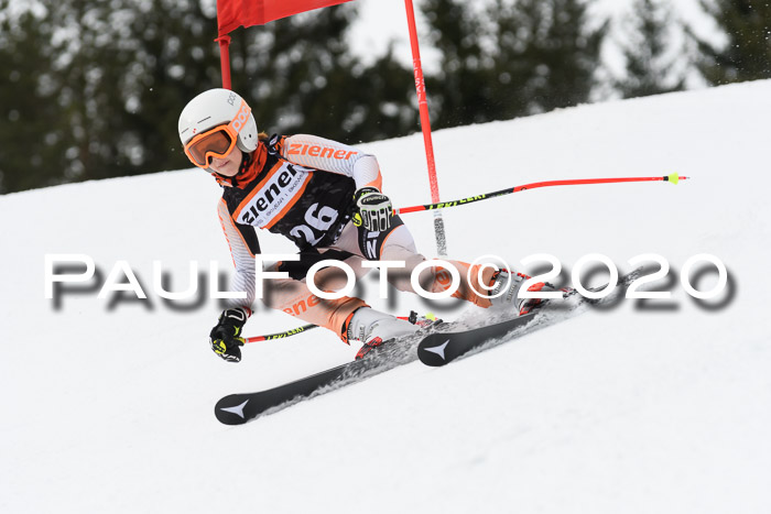 Ziener Cup WF u. U12 Kids Cross RSX 25.01.2020
