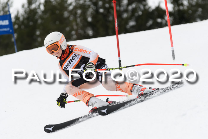 Ziener Cup WF u. U12 Kids Cross RSX 25.01.2020