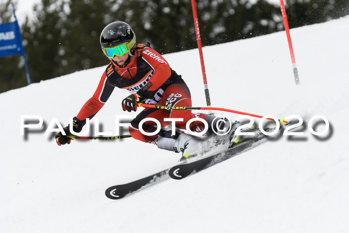 Ziener Cup WF u. U12 Kids Cross RSX 25.01.2020