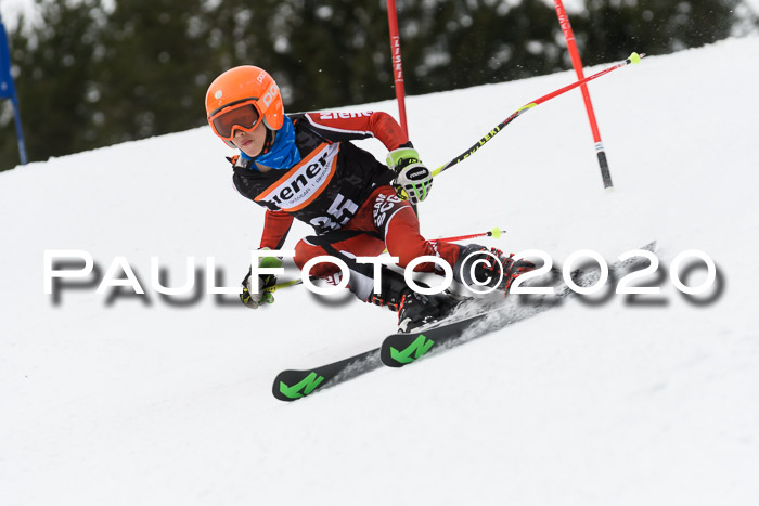 Ziener Cup WF u. U12 Kids Cross RSX 25.01.2020