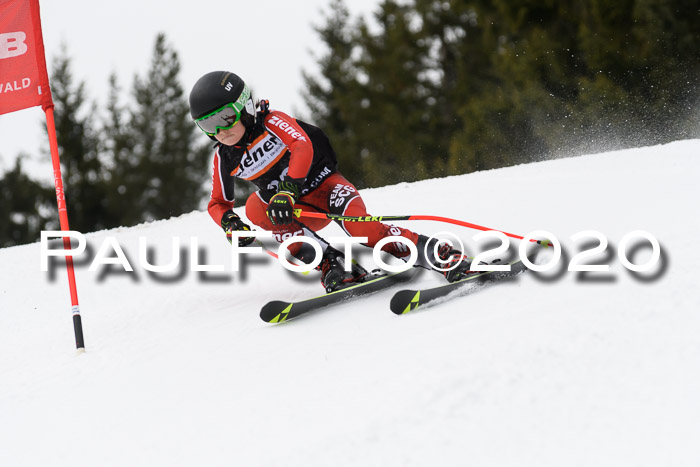 Ziener Cup WF u. U12 Kids Cross RSX 25.01.2020